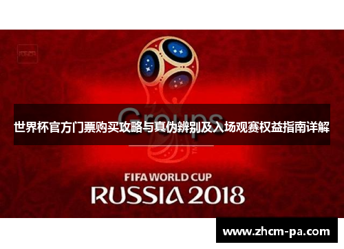 世界杯官方门票购买攻略与真伪辨别及入场观赛权益指南详解